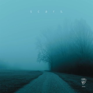 scars. (Remixes)