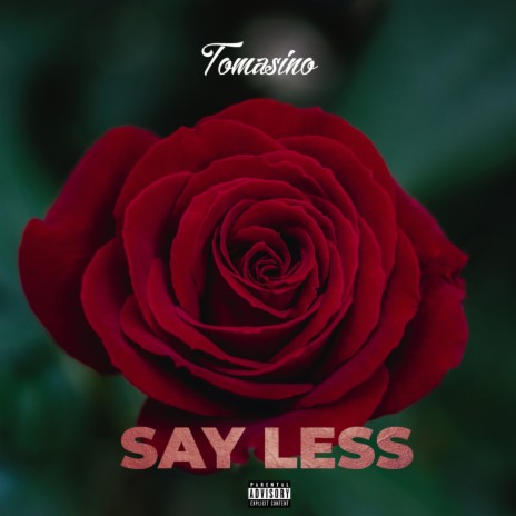 Say Less | Boomplay Music