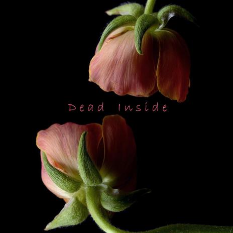 Dead Inside | Boomplay Music