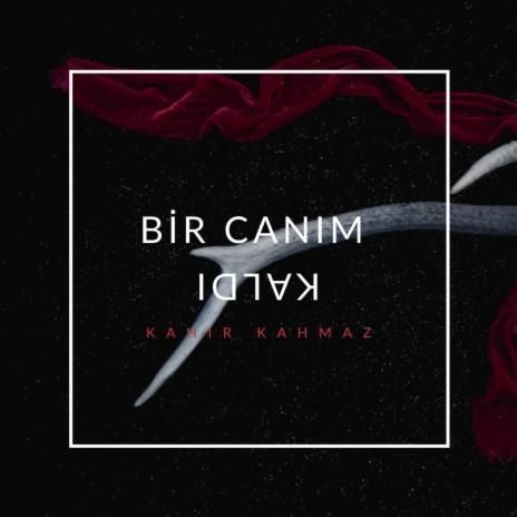 bir canım kaldı | Boomplay Music