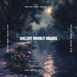 Chillout Moonlit Dreams