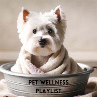 Pet Wellness Playlist: Music to Keep Your Pets Happy and Healthy