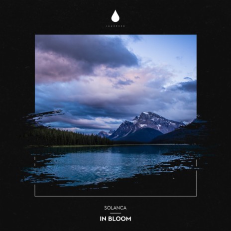 In Bloom (Extended Mix) | Boomplay Music