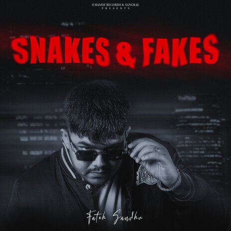 Snakes & Fakes ft. Silence Please | Boomplay Music