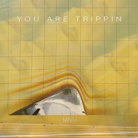 You Are Trippin | Boomplay Music