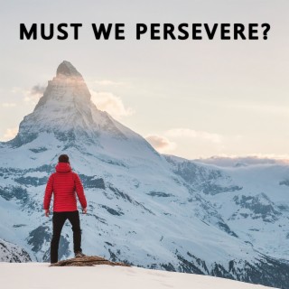 #32 - Must We Persevere to the End to be Saved?