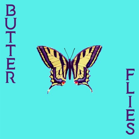 Butterflies ft. Bonafuku Beatz | Boomplay Music