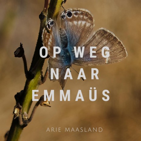 Op Weg Naar Emmaüs | Boomplay Music