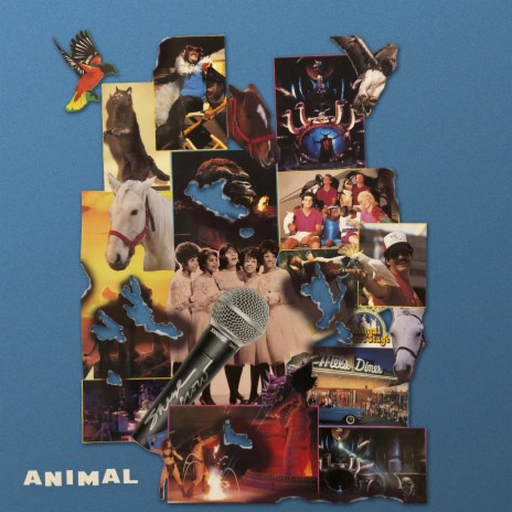 Animal ft. Eve Calletti | Boomplay Music