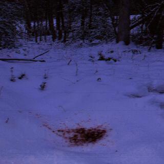 RED SNOW