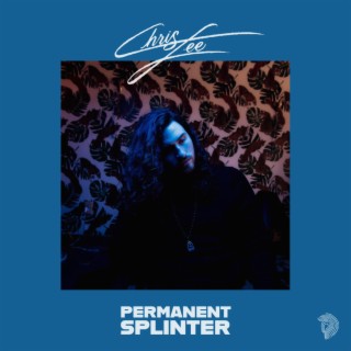 Permanent Splinter lyrics | Boomplay Music