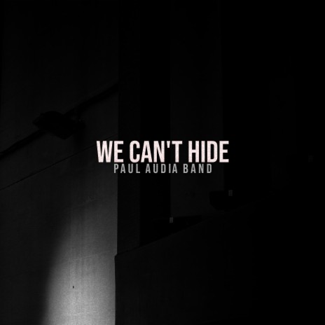 We Can't Hide | Boomplay Music