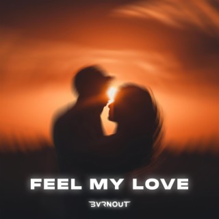 Feel My Love