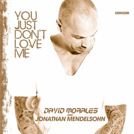 You Just Don't Love Me (Radio Edit) ft. Jonathan Mendelsohn | Boomplay Music