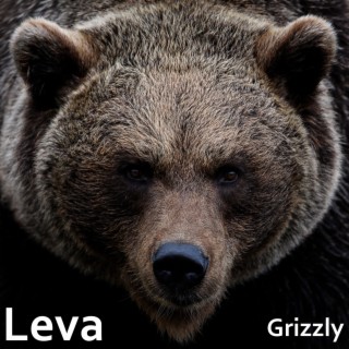 Grizzly