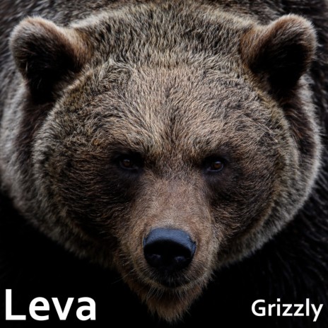 Grizzly | Boomplay Music