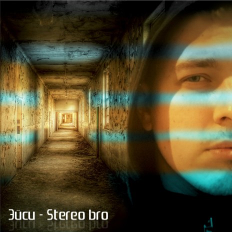 Stereo Bro | Boomplay Music