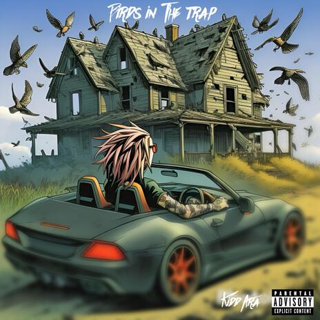 Birds in the trap | Boomplay Music