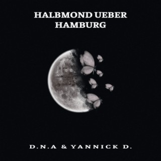 Halbmond ueber Hamburg