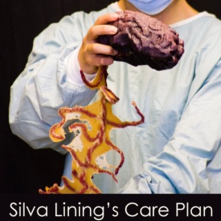 Silva Lining‘s Care Plan