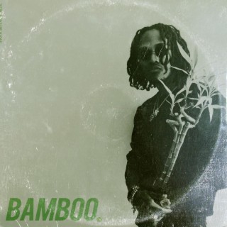 BAMBOO