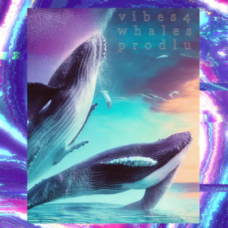 vibes4whales