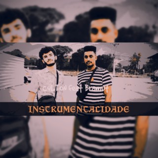 Instrumentalidade