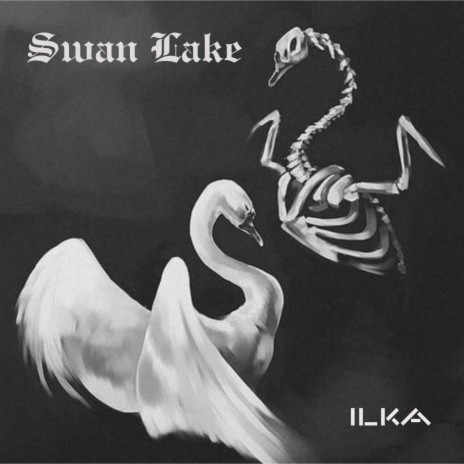 White Swan (B SIDE) | Boomplay Music