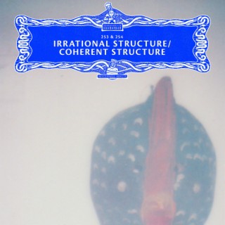 Irrational Structure / Coherent Structure