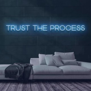 Trust in the Processs