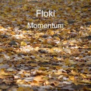 Momentum