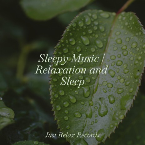 Melancholic Cascade Dreams ft. Meditación Guiada & Sleep Baby Sleep | Boomplay Music