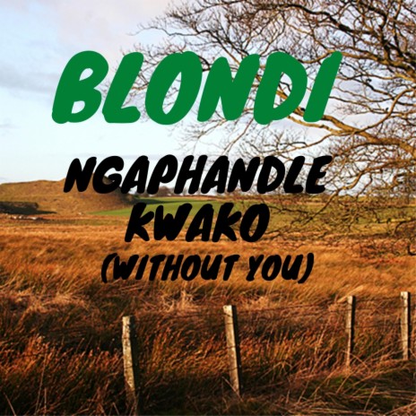 Ngaphandle kwako (Without You)