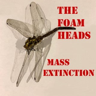 The Foam Heads