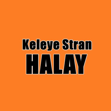 Mendo Kürtçe Halay | Boomplay Music