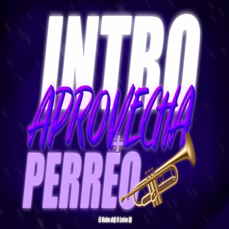 INTRO APROVECHA + PERREO ft. El Nahu Dj
