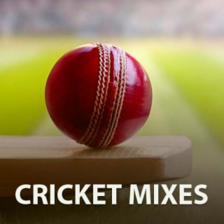 Cricket Mixes—Which song best expresses your love for cricket? tell me in the comments