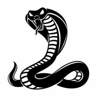 Cobra