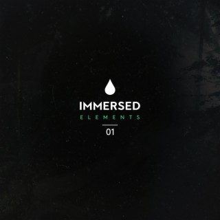 Immersed Elements 01