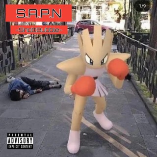 S.A.P.N