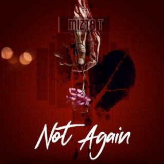 Not Again lyrics | Boomplay Music