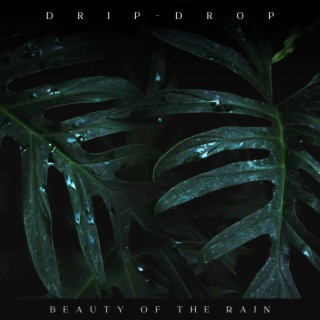 Drip-drop Beauty of the Rain