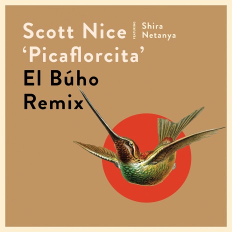 Picaflorcita (El Búho Remix) ft. Shira Netanya | Boomplay Music
