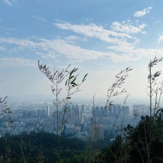 解壓治愈輕音樂/安靜舒緩放松純音樂/茶室舒緩純音樂（鋼琴＆古箏）