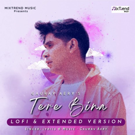 Tere Bina - LOFI & Extended Version | Boomplay Music