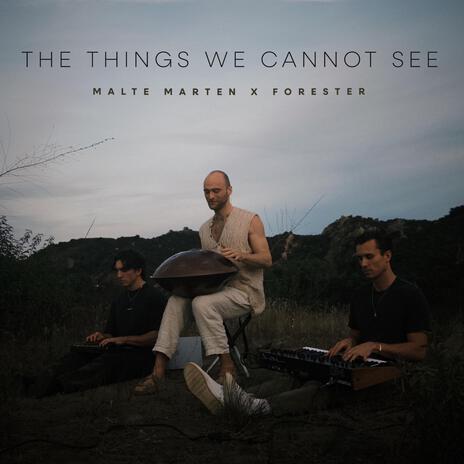 The Things We Cannot See ft. Forester | Boomplay Music