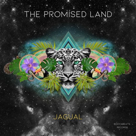 The promised land | Boomplay Music