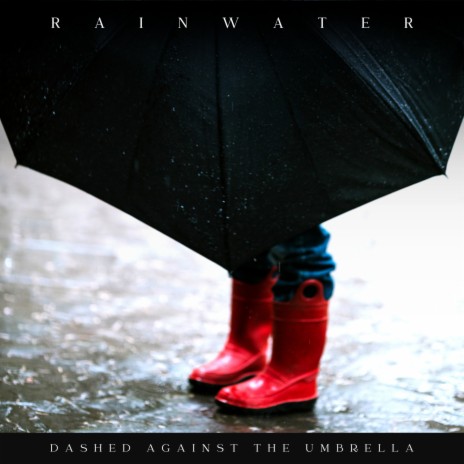 Wet Bark on a Pine Tree ft. Day & Night Rain & Rain Radiance