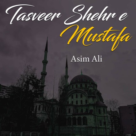 Tasveer Shehr E Mustafa