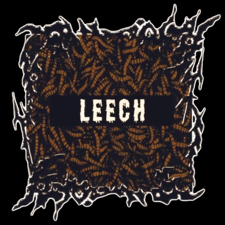 Leech